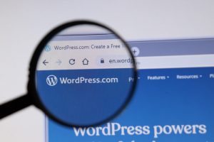 wordpress software