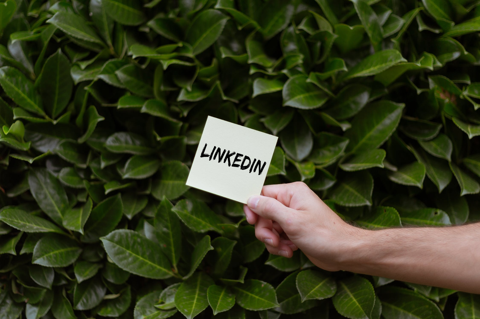 adverteren op linkedin